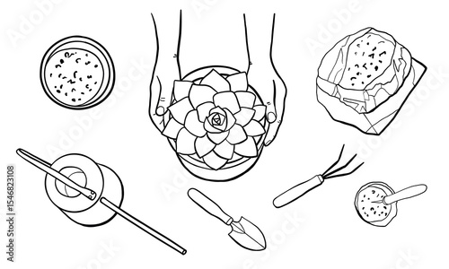 Human Hands Holding Succulent Houseplant in a Pot. Hand Drawn Line Vector Illustration