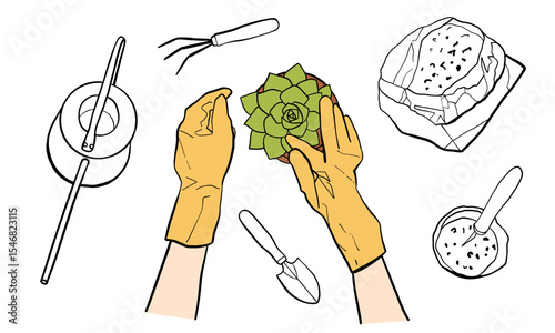 Hands of a person in gloves replanting a succulent houseplant in a pot