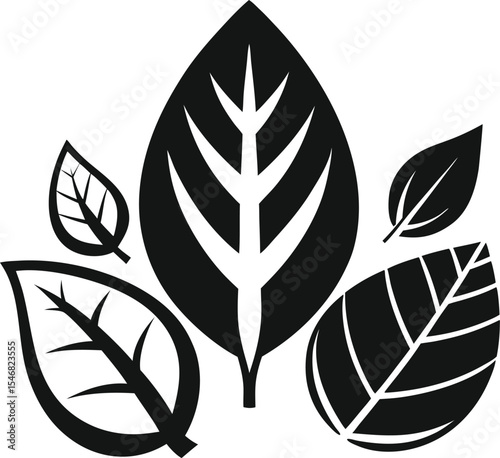 Black and White Leaf Silhouettes: Five Distinct Botanical Specimens