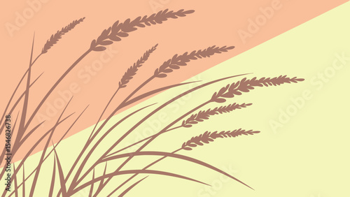 wild grass illustration with split wheat ears isolated on a white background