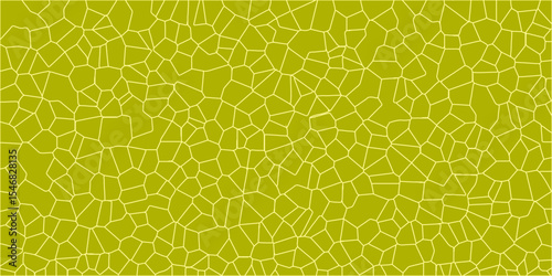 yellow melon texture