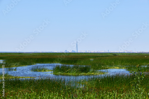 Experience the Lush Marshland Surrounded by an Urban Skyline Stretching Into the Distance photo