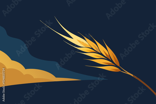 wheat field in the sunset