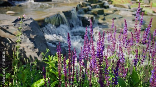 The Serene Flowing Stream is adorned with Vibrant Purple Flowers adding to its beauty and charm