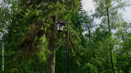 vintage lamppost rising among forest conifers
