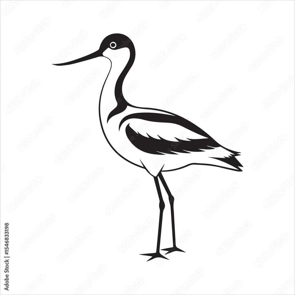 Obraz premium avocet birds silhouette vector