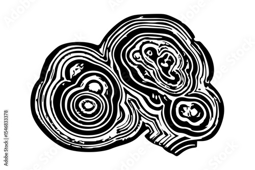 Abstract Black and White Geode Slice Illustration Showing Concentric Circular Layers