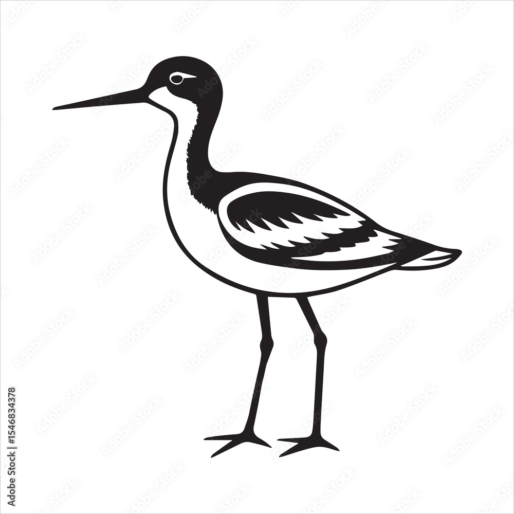 Fototapeta premium avocet birds silhouette vector