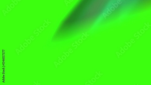 Stinger Transition Animation with Green Screen – Chroma Key Overlay for Streamers and video editors