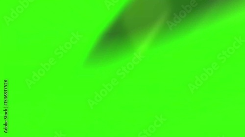 Stinger Transition Animation with Green Screen – Chroma Key Overlay for Streamers and video editors