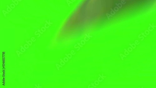 Stinger Transition Animation with Green Screen – Chroma Key Overlay for Streamers and video editors