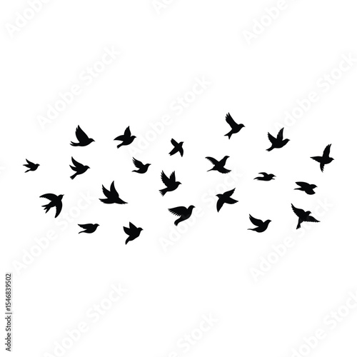 Black silhouette birds flying against a white background depicting freedom and movement