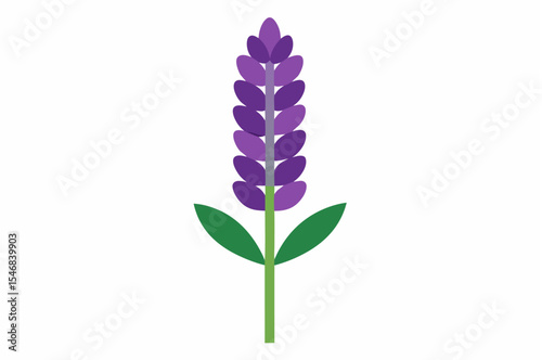 Beautiful lilac flower blossoms with green leaves isolated on a white background, showcasing their natural beauty and vibrant pink and purple petals