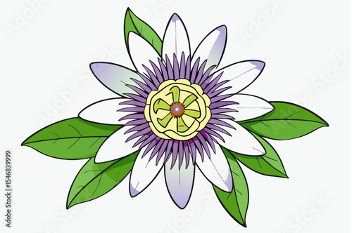 Pink lotus flower vector illustration: A natural floral design element with delicate petals and blossoming beauty