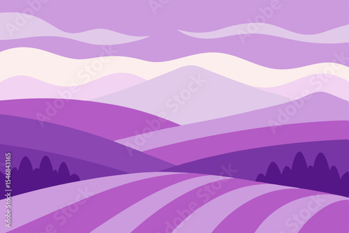 hills covered in lavender with distant