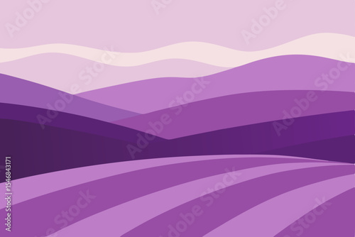hills covered in lavender with distant