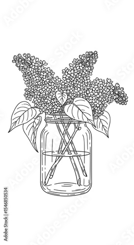Mason jar filled with lilac flowers and leaves in a hand-drawn style for floral decoration and home decor concepts