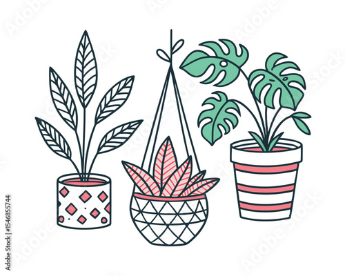 Three Stylish Houseplants in Decorative Pots Line Art