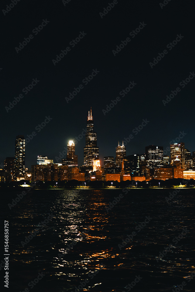 Fototapeta premium Chicago panorama during night time Chicago, Illinois, USA