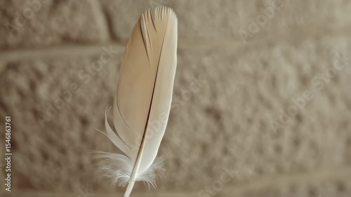 Feather gently falling through the air in slow motion.  
