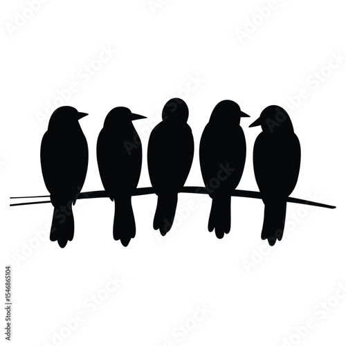 Harmony of birds on wire in various positions silhouette