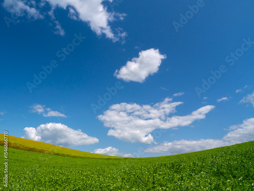 Fototapeta Naklejka Na Ścianę i Meble -  Rolling green fields under a blue sky with white clouds on a summer day