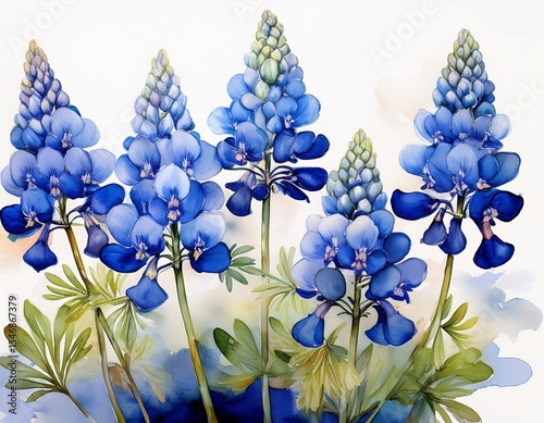 illustration of five bluebonnet flowers painted in watercolor technique arranged in a row on a white background showcasing their vibrant blue petals and green stems