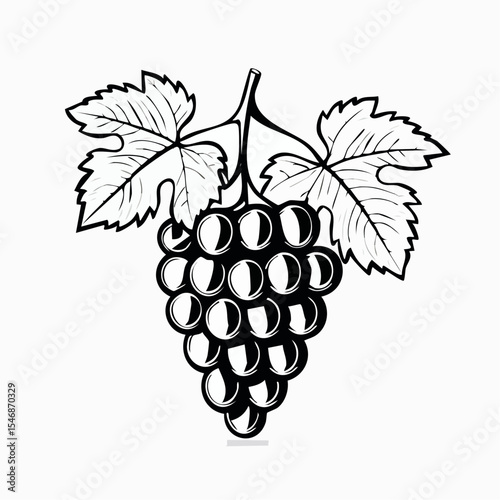 Illustration of grapes in black and white vector capturing nature's sweetness in elegant simplicity.