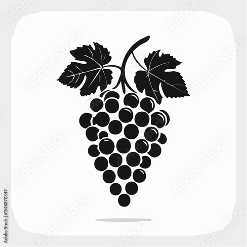 Illustration of grapes in black and white vector capturing nature's sweetness in elegant simplicity.