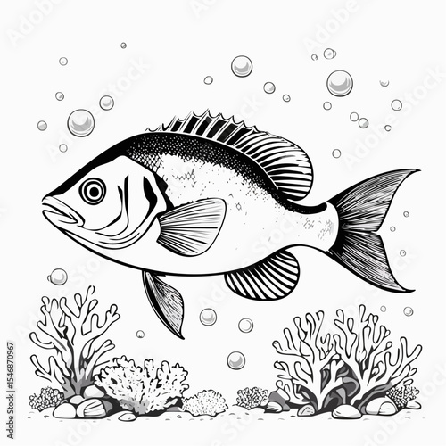 Underwater Fish Vector Image Isolated on white background.