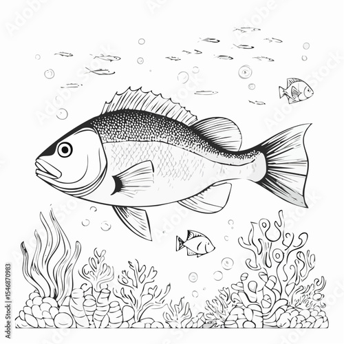 Underwater Fish Vector Image Isolated on white background.