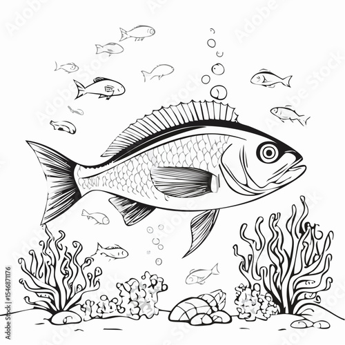 Underwater Fish Vector Image Isolated on white background.