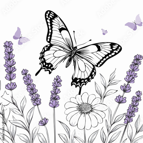 Butterfly Landing on Lavender Flowers in a Summer Garden Scene image vector.
