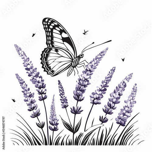 Butterfly Landing on Lavender Flowers in a Summer Garden Scene image vector.