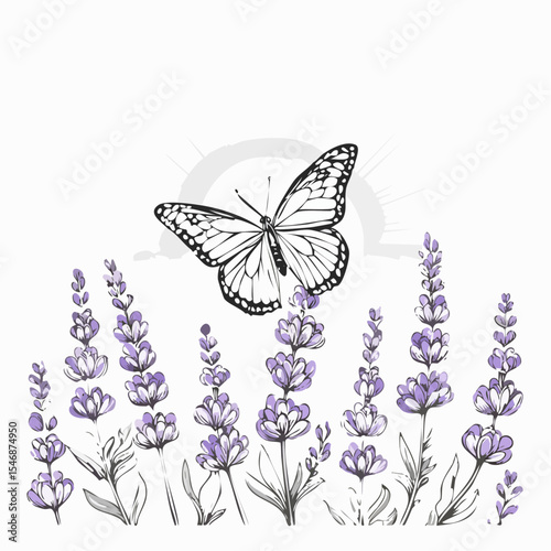 Butterfly on Lavender Flowers Enjoying Sunlight in a Natural Garden image vector.