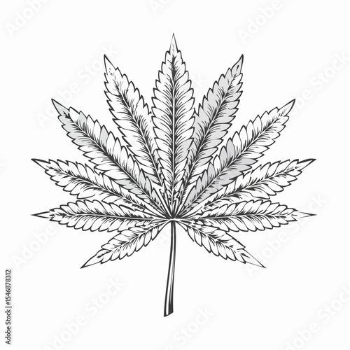 Organic cannabis illustration vector isolated on white background.