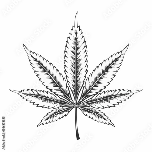 Organic cannabis illustration vector isolated on white background.