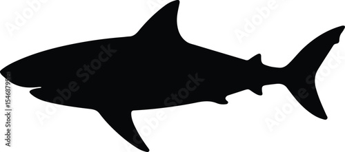 Silhouette shark predatory sea creature marine life Vector Illustration
