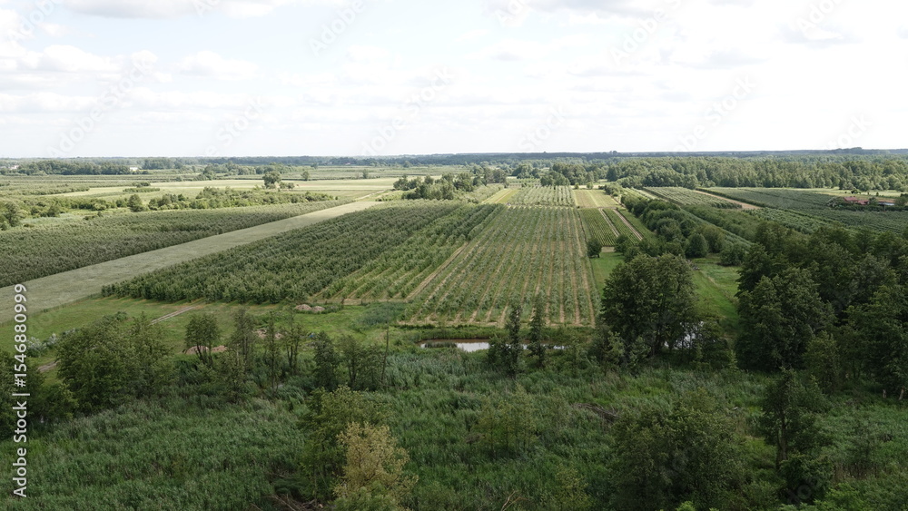 Fototapeta premium Krajobraz pól uprawnych, rośliny uprawne, drzewa owocowe