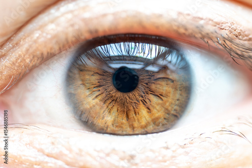 Macro of Female Brown Colored Eye with Window Reflections. High Detail Structural Anatomy of Human Iris. Shot in Dayllight.