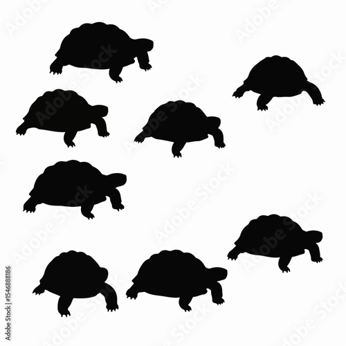 Turtle silhouettes in varied positions, isolated on white
