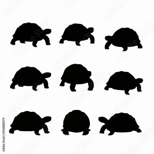 Turtle silhouette reptile wildlife animal tortoise pattern