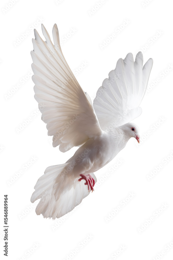 Fototapeta premium Free white dove flying in mid-air transparent background