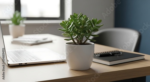 Modern Minimalist Workspace with Succulent Plant