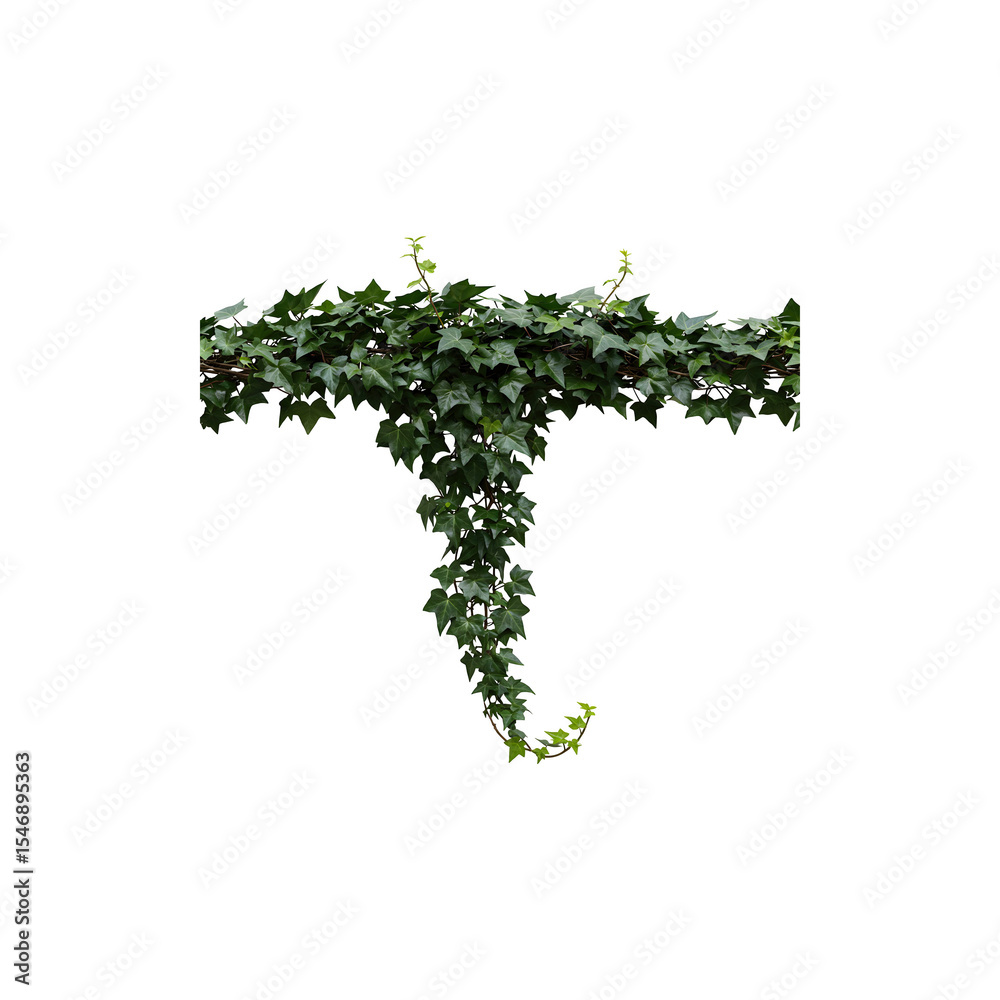 Naklejka premium Hanging Green Ivy Plant Isolated on White Background