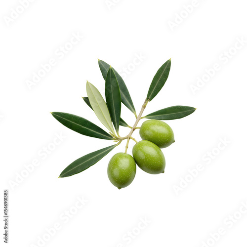 Wallpaper Mural Fresh Green Olives on Branch for Mediterranean Concepts Torontodigital.ca