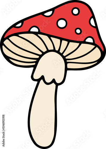 mushroom food fungi food