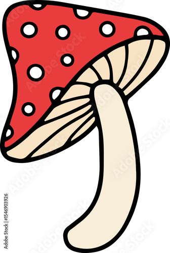 mushroom food fungi food