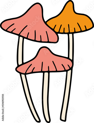 mushroom food fungi food