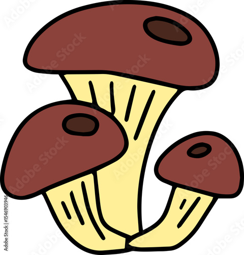 mushroom food fungi food
